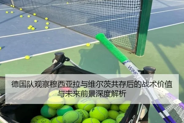 德国队观察穆西亚拉与维尔茨共存后的战术价值与未来前景深度解析